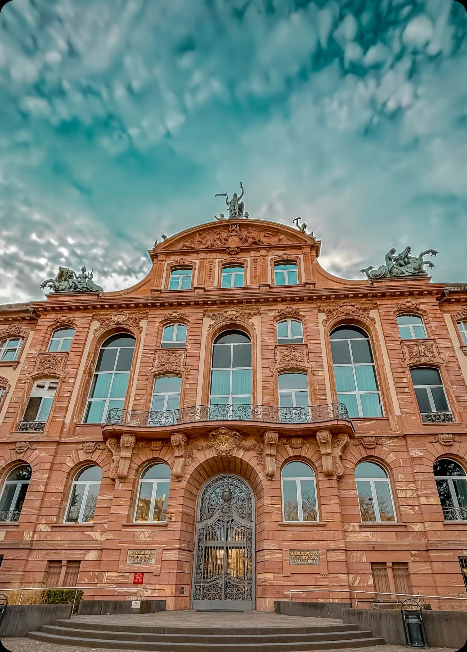 Science and engineering bachelor programs offered by German universities