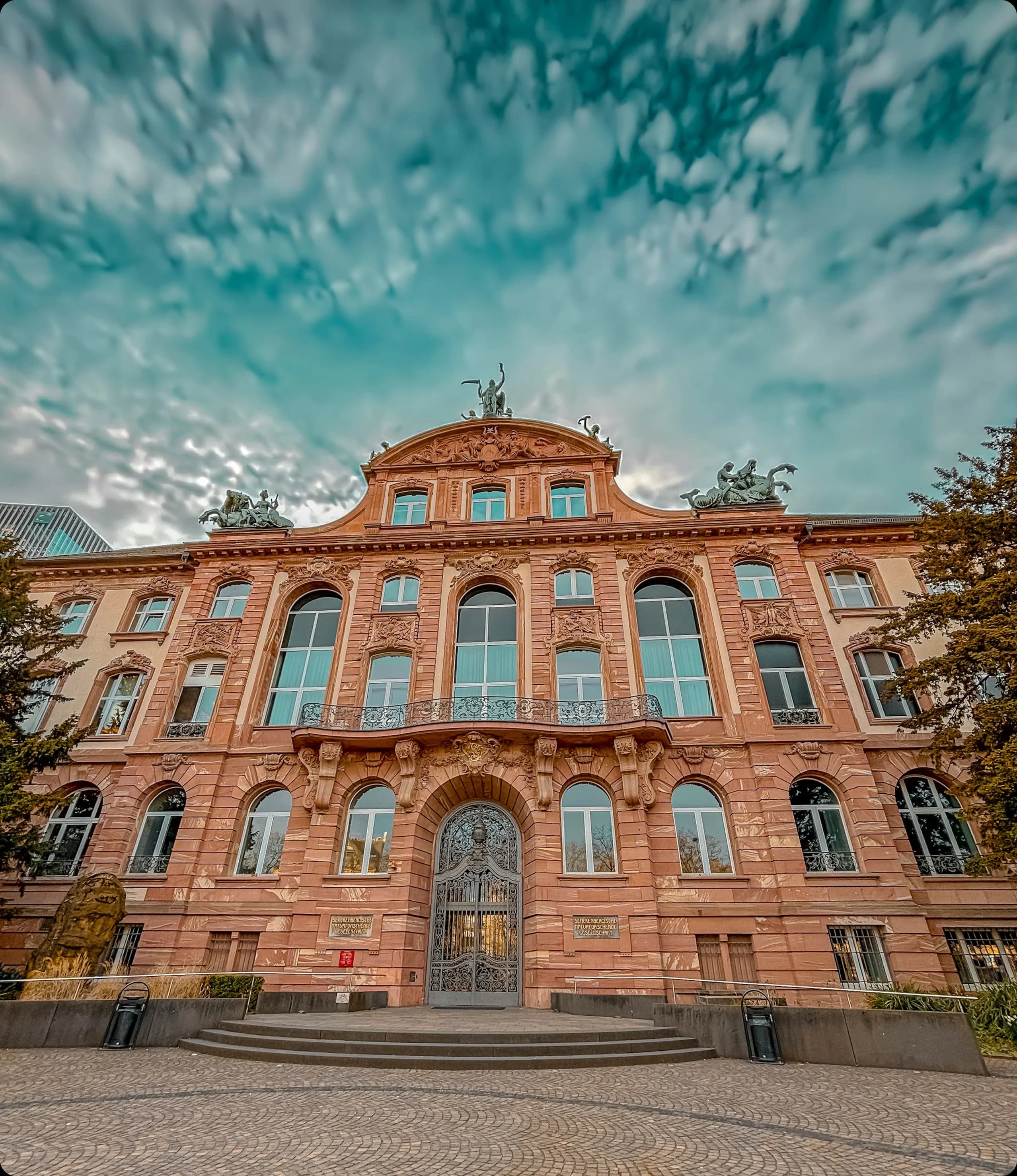Study in Germany
